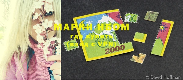 ПСИЛОЦИБИНОВЫЕ ГРИБЫ Алзамай