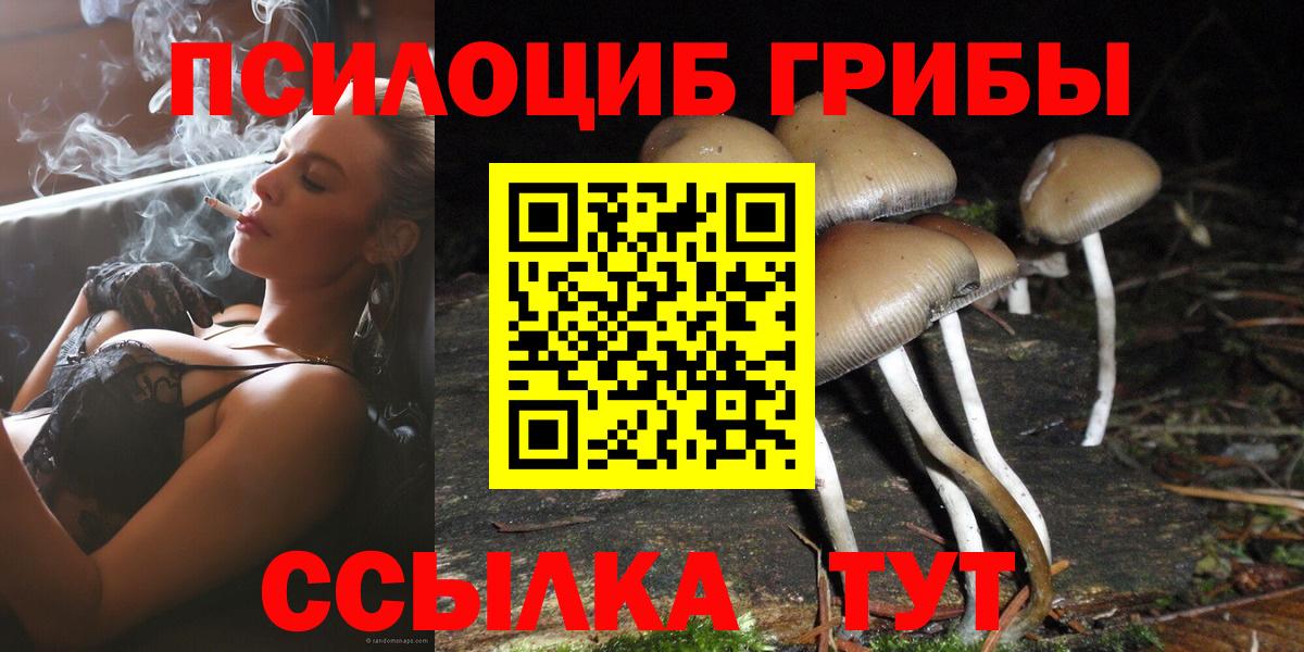 Псилоцибиновые грибы Psilocybine cubensis Ачинск