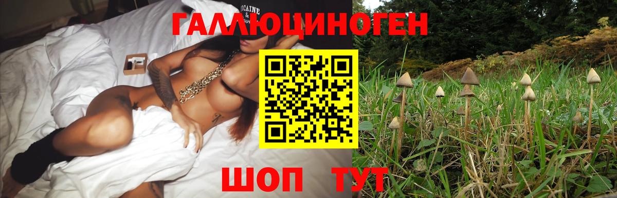 Псилоцибиновые грибы прущие грибы  Вход с VPN  Ачинск 